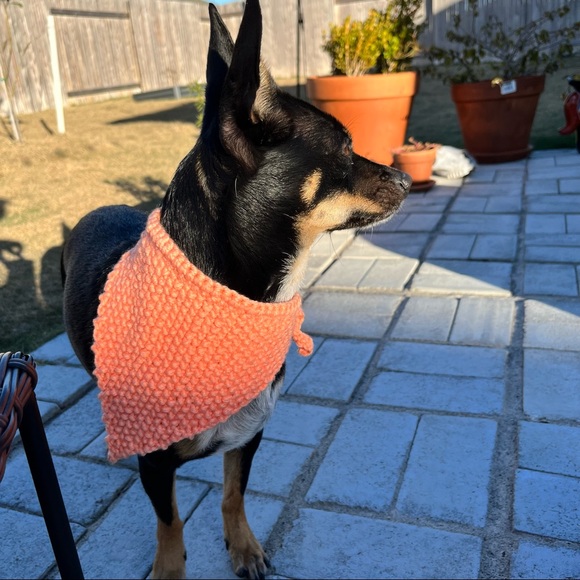 Dog Bandana Hand Knit in USA Western Dog Outfit Tie Scarf - Picture 4 of 6